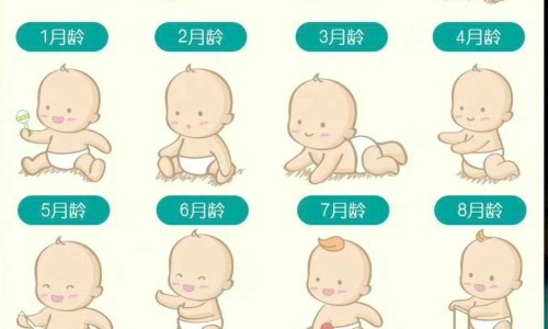 整肠生菌颗粒网 - 为你提供整肠生菌颗粒功效与作用、整肠生菌颗粒图片